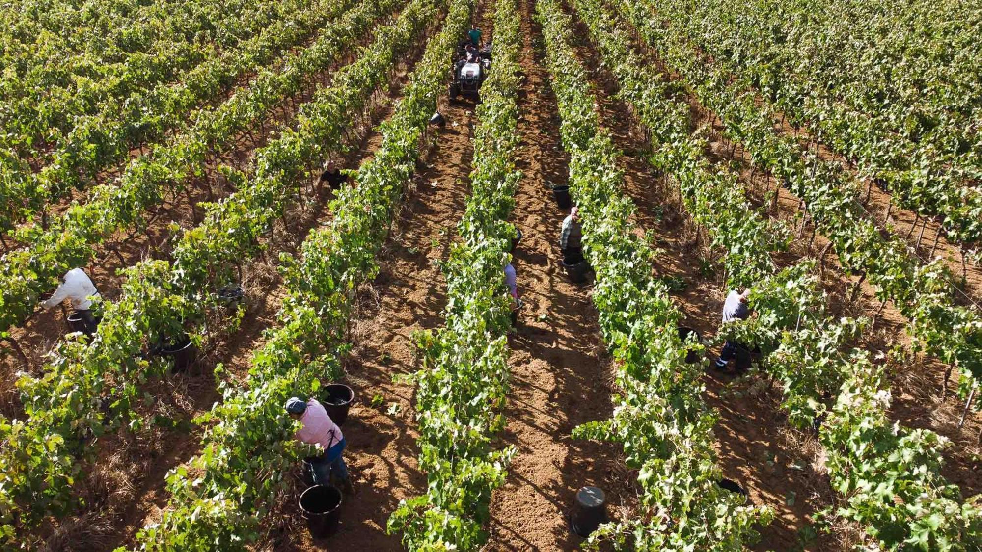 Tenuta Doxi Gallipoli Buitenkant foto