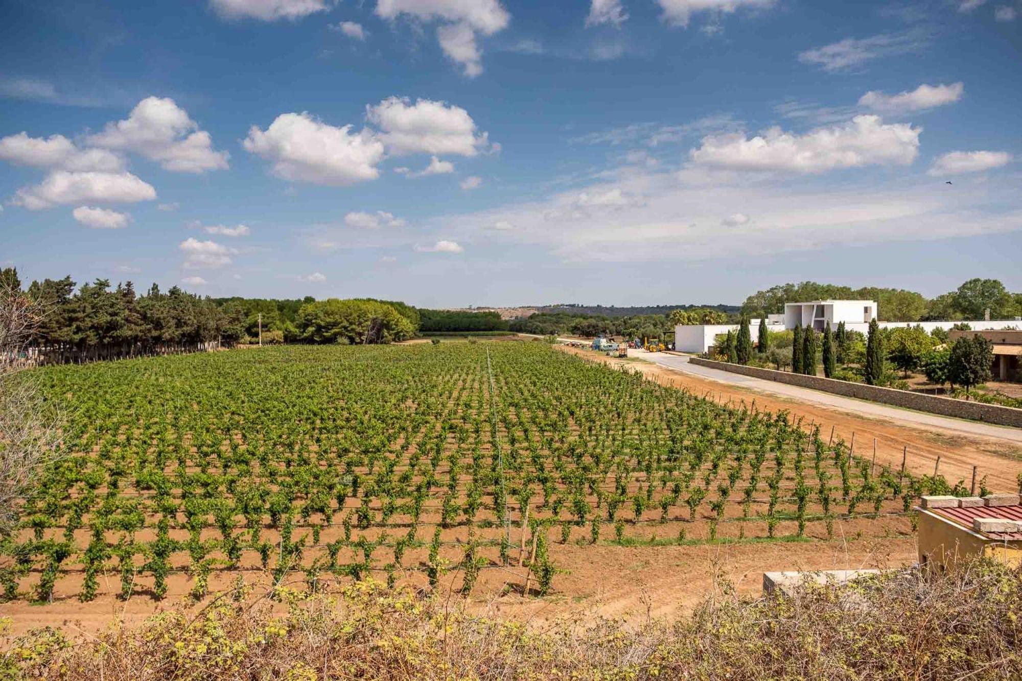Tenuta Doxi Gallipoli Buitenkant foto